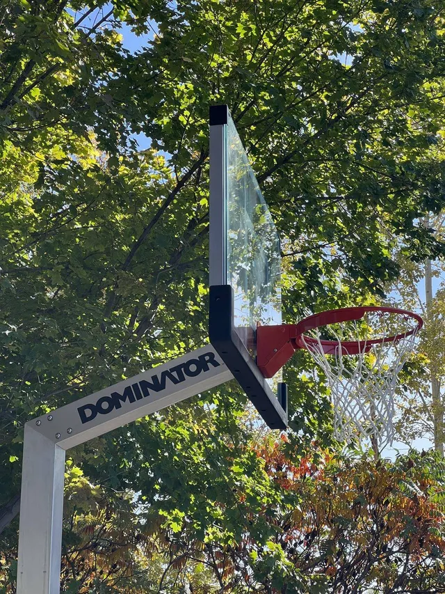 Looking up at an installed 54 inch hoop from underneath, close enough to read the Dominator wordmark on the overhang arm, with autumn trees and blue sky behind the glass.