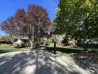 A 54 inch hoop at the end of a residential driveway, seen from the far end past a red leafed tree, showing how little room it takes up beside a garage.