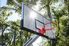 Looking up at the 72 Pro's perforated aluminum board and orange rim through the trees, with the sun shining through the board.