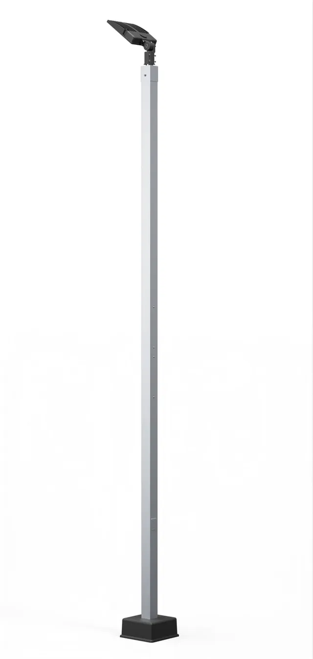 A 16 ft Dominator light pole carrying a single LED head, shown as a product render against a plain ground.