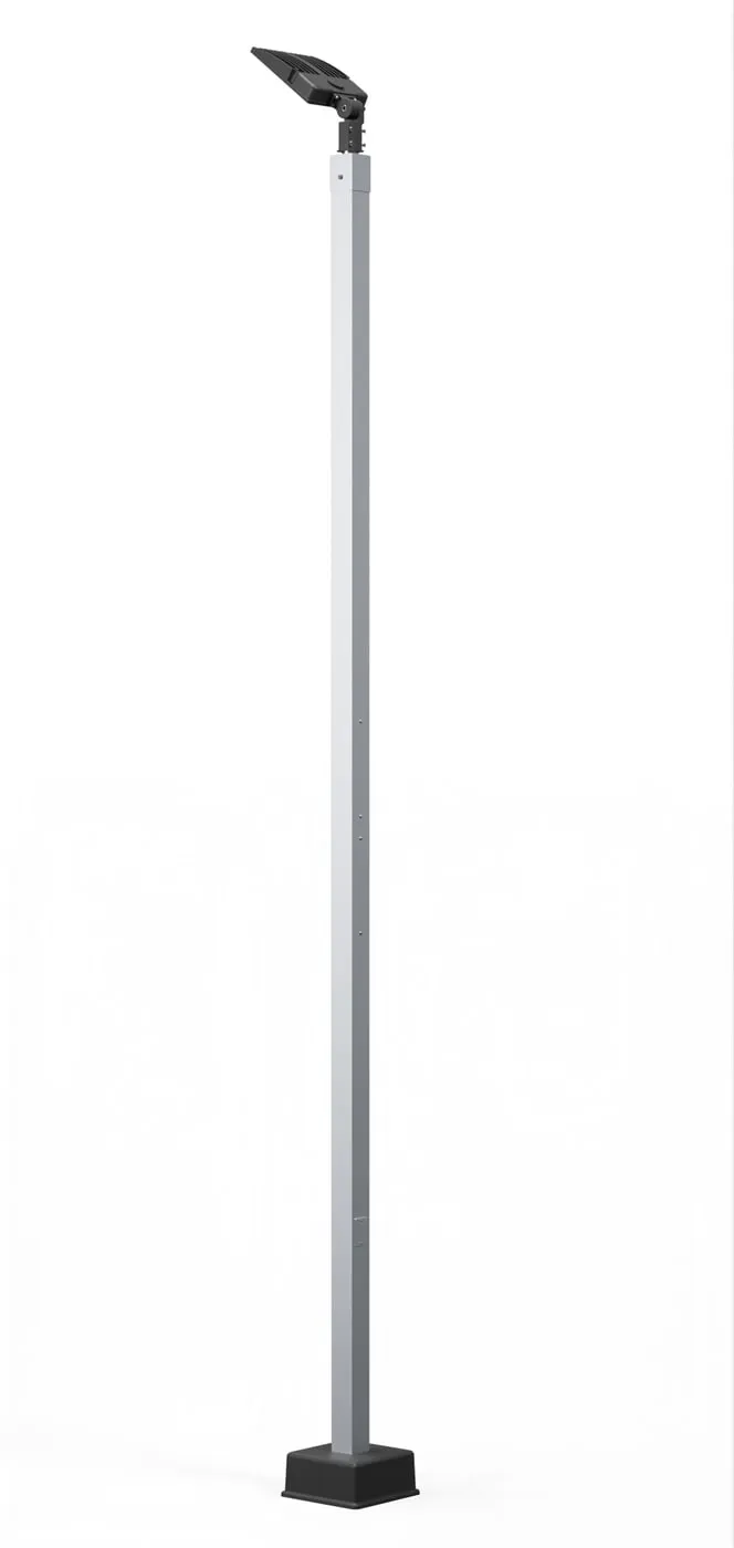 A 16 ft Dominator light pole carrying a single LED head, shown as a product render against a plain ground.