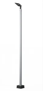 A 16 ft Dominator light pole carrying a single LED head, shown as a product render against a plain ground.