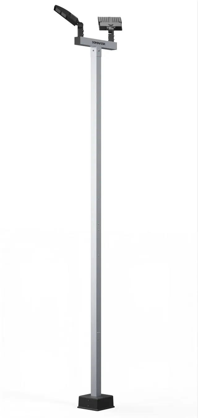 A 16 ft Dominator light pole with a 30 inch crossbar carrying two LED heads, shown as a product render.