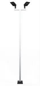 The top of a double pole seen from the front, both heads mounted out on the crossbar either side of the post.