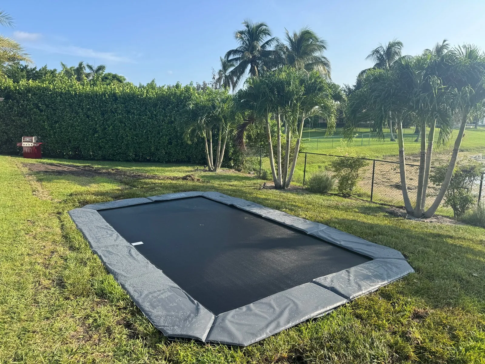 Rectangle in-ground trampoline set flush in a lawn, with palms and a tall hedge behind