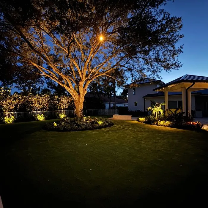 Curved putting green edge under landscape lighting