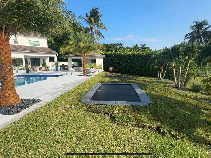In-ground trampoline beside a pool and palm tree