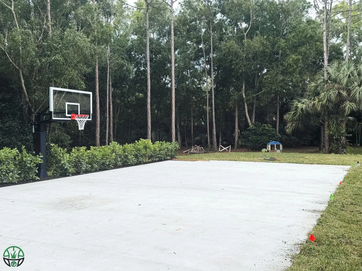 A new concrete court slab with a glass-backboard basketball hoop at one end, a low hedge along the edge and tall pines behind